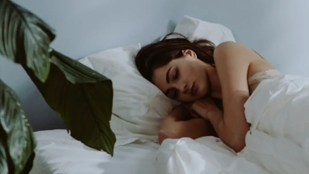 Who sang my elusive dreams?