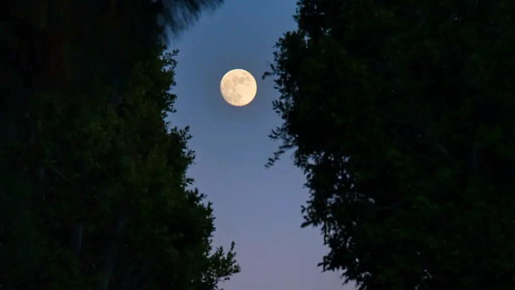 Who is sweet dreams by?